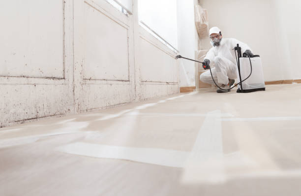 24/7 Emergency Crawl Space Mold Remediation experts in Wilson, NC