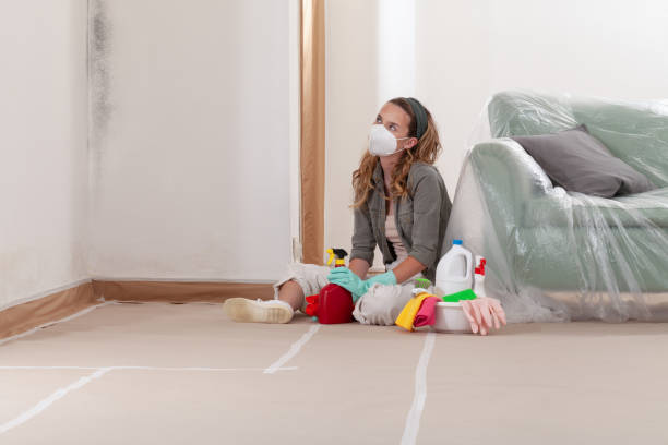 Reliable Crawl Space Mold Remediation contractor in Wilson, NC by 24 Hour Mold Removal