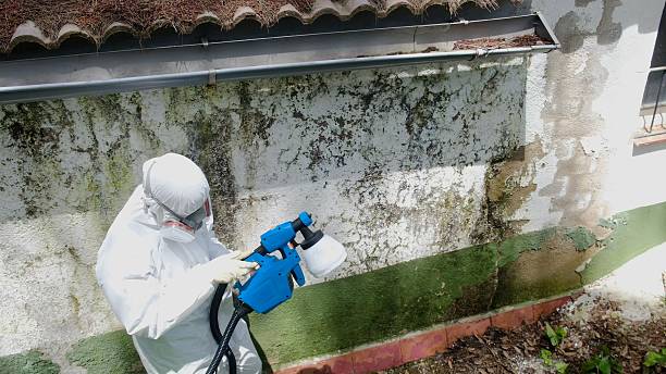 Top rated local Crawl Space Mold Remediation specialists in Wilson, NC